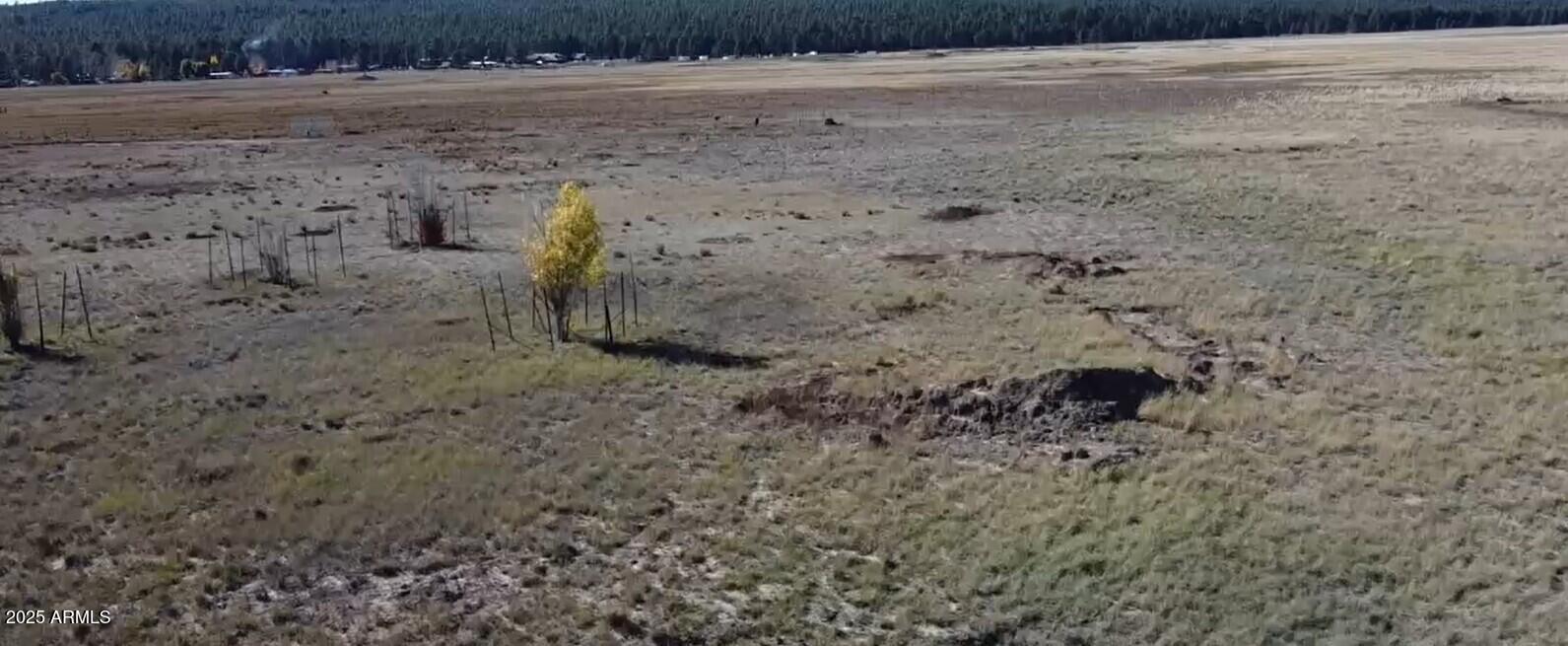 732 LOTS A LUCK Lane 6, Mormon Lake, AZ 86038 — Photo 1 of 11