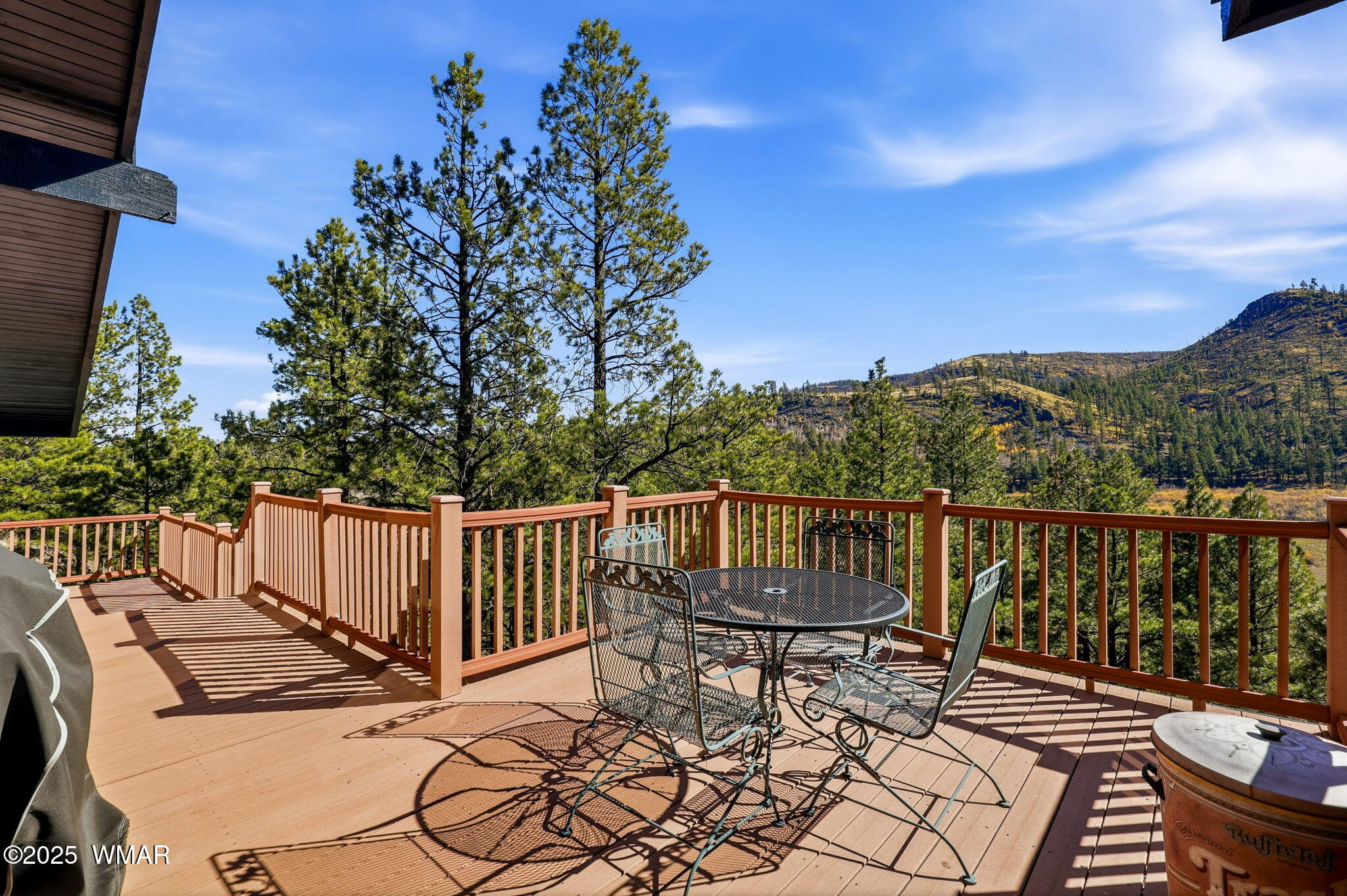 4 N1013, Greer, AZ 85927 — Photo 1 of 45