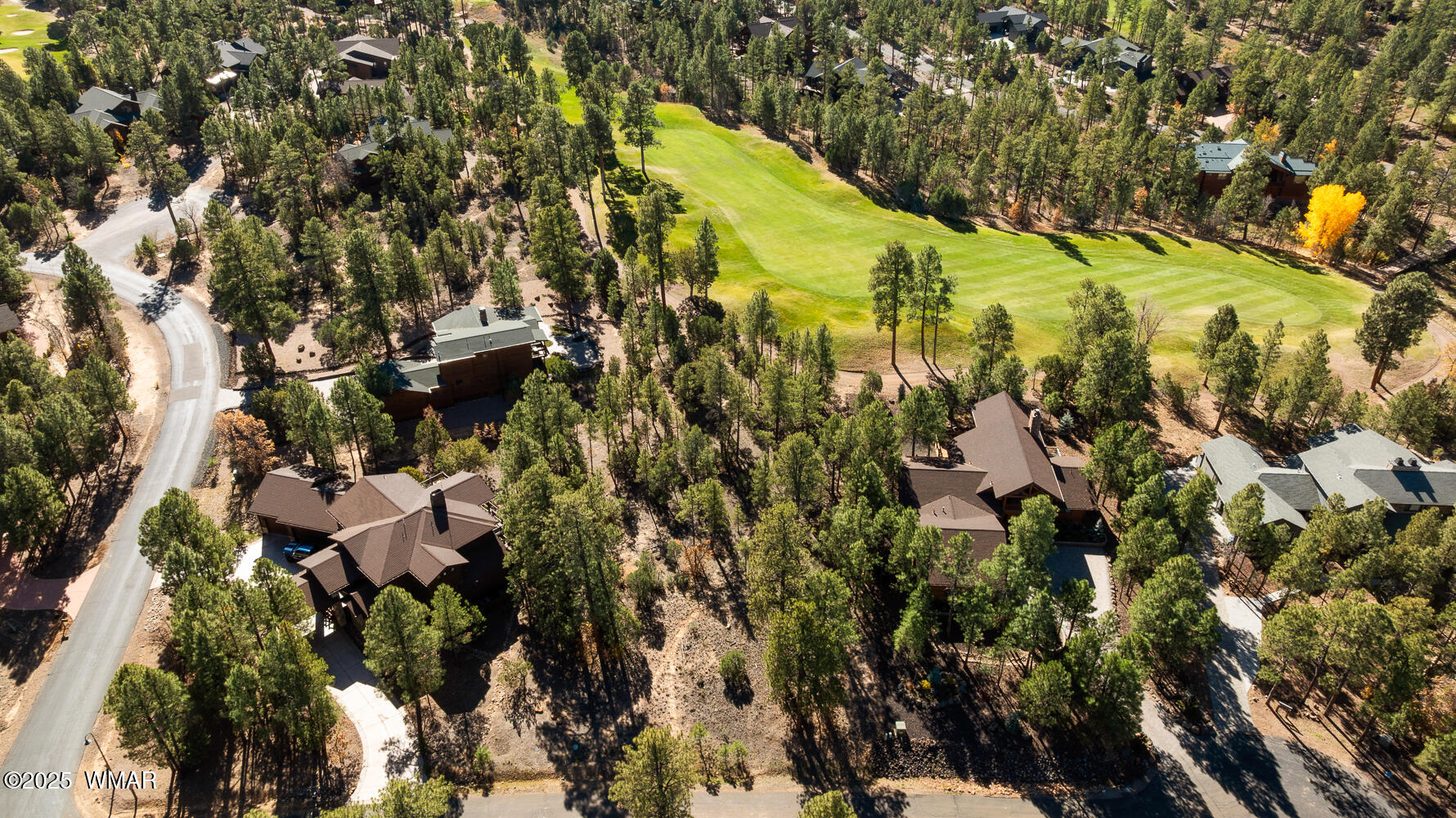 4531 W Fox Glove Lane, Show Low, AZ 85901