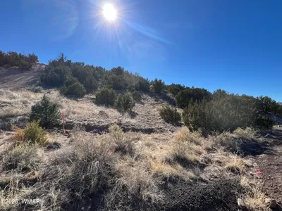 Lot 14 Starlite Drive, Eagar, AZ 85925