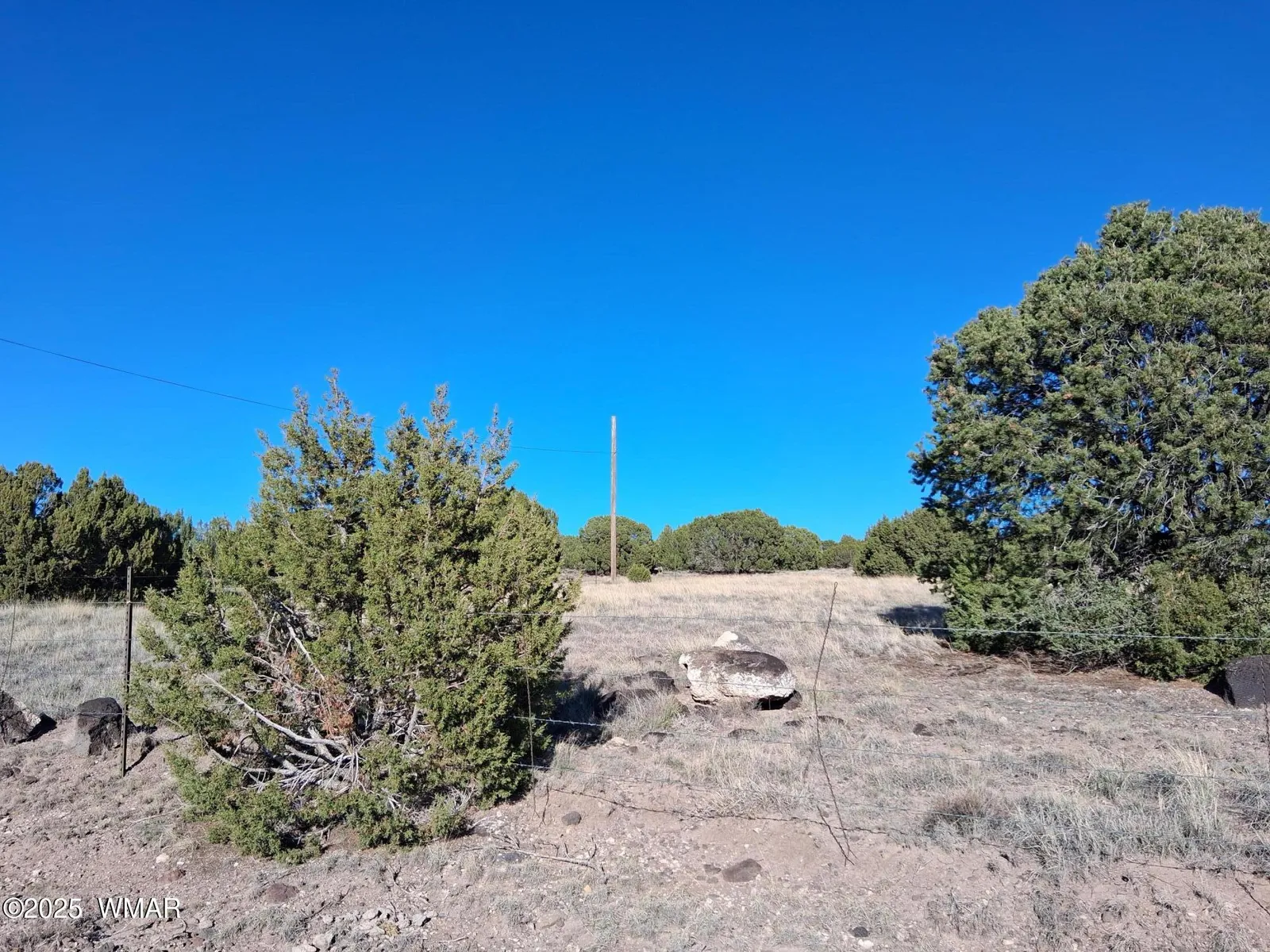 22 N 8171, Parcel A, Concho, AZ 85924 — Photo 1 of 11