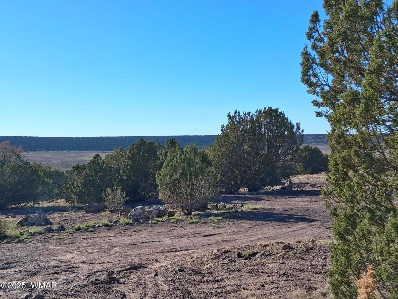68 N 8171, Lot D, Concho, AZ 85924 — Photo 1 of 12