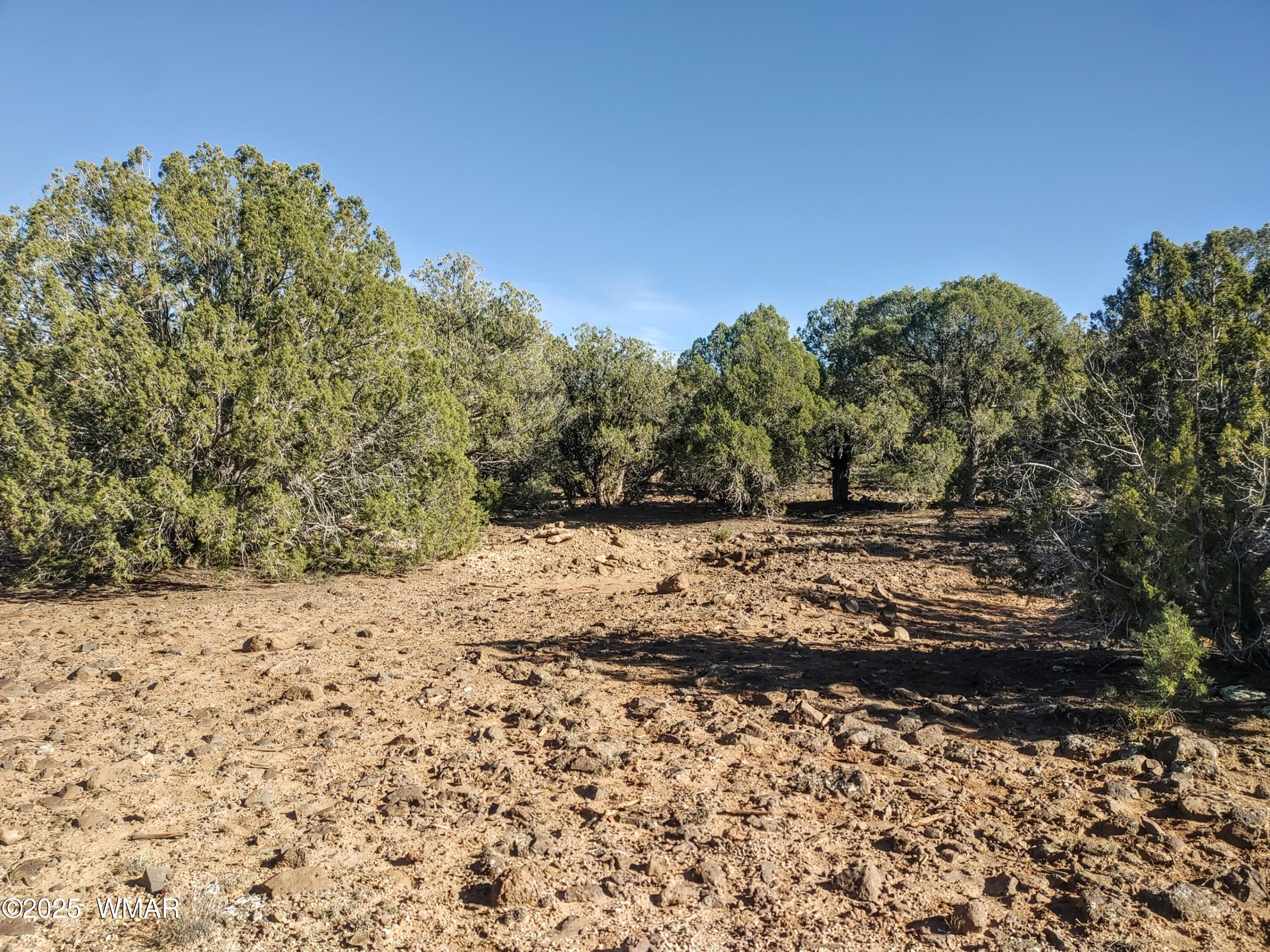 1841 Rocky Bottom Place, Show Low, AZ 85901