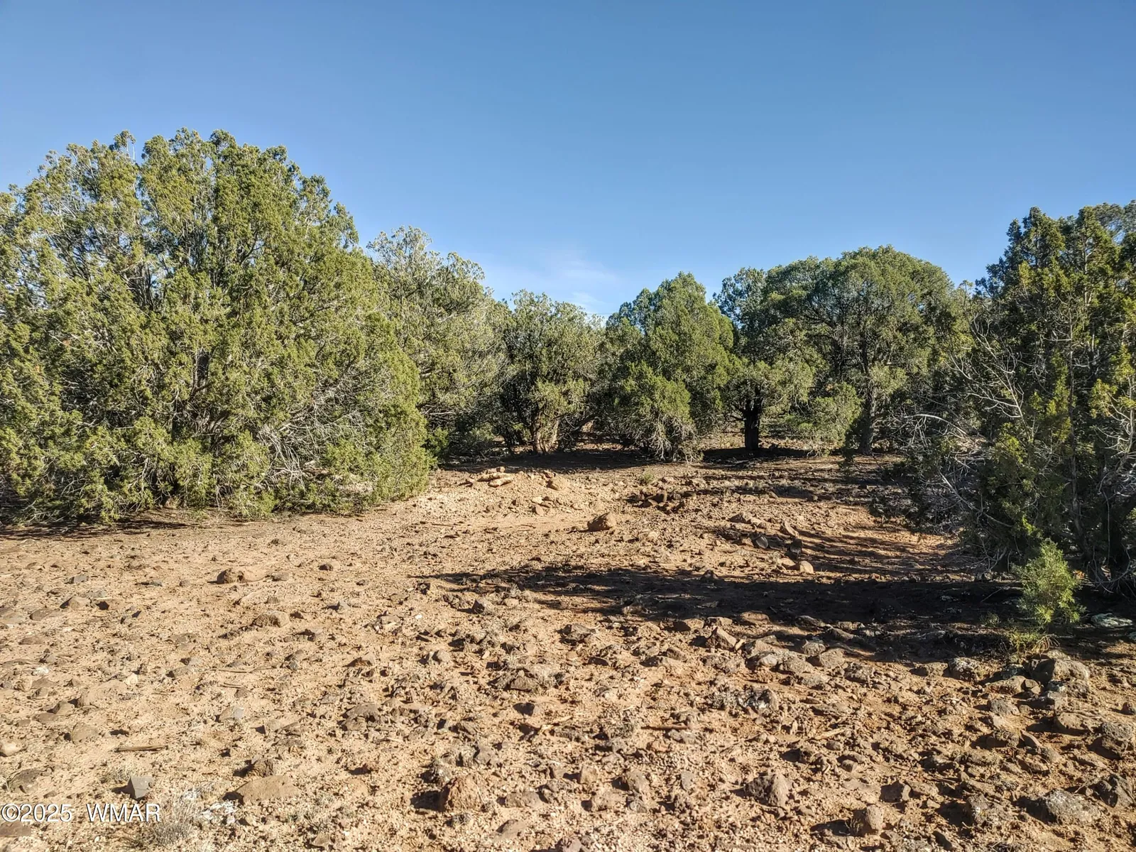 1841 Rocky Bottom Place, Show Low, AZ 85901 — Photo 1 of 11