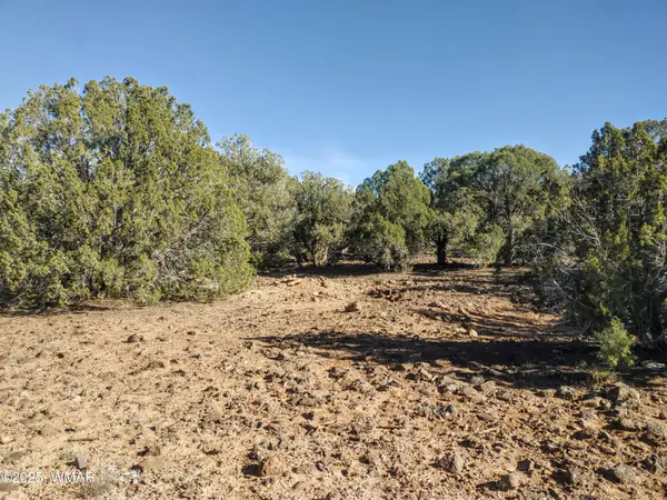 1841 Rocky Bottom Place, Show Low, AZ 85901