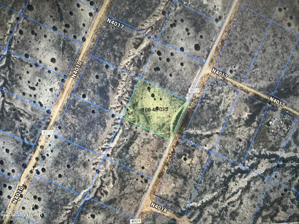 Lot 19 County Road N4009, St. Johns, AZ 85936