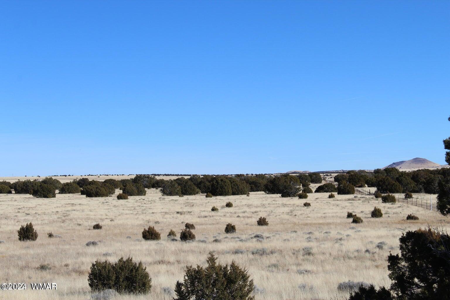 13 County Road 8006, Concho, AZ 85924