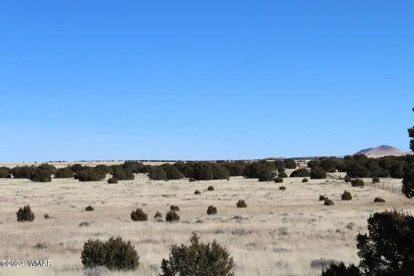 13 County Road 8006, Concho, AZ 85924
