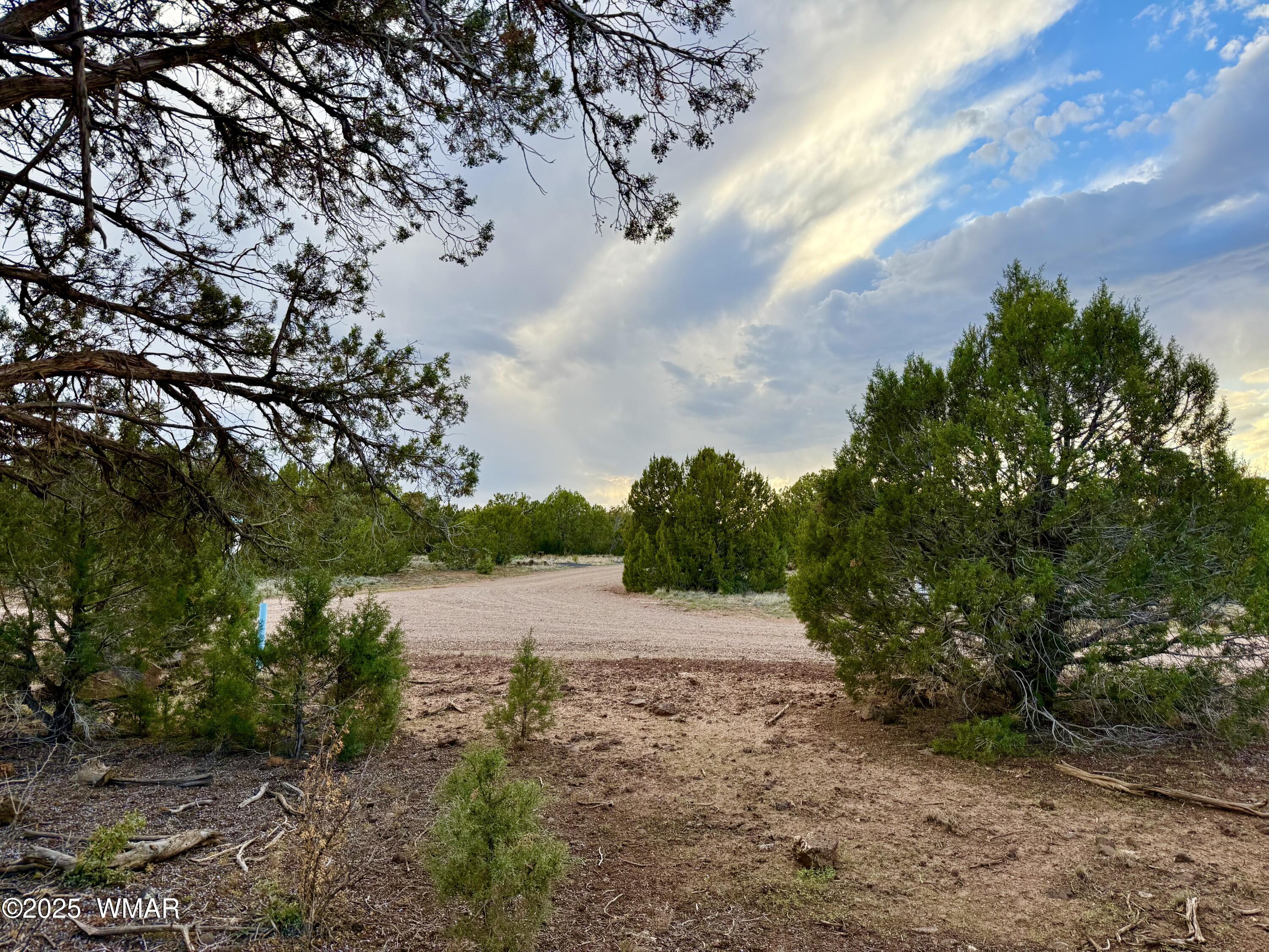 1821 Shumway Street, Show Low, AZ 85901