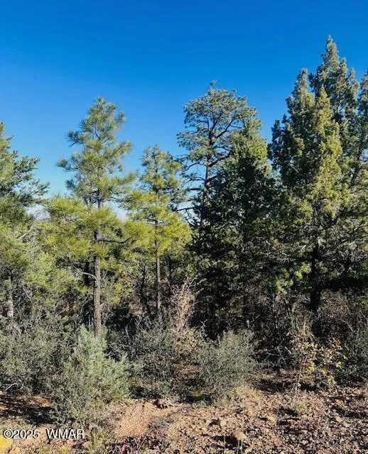 1610 W Snow Creek Trail, Show Low, AZ 85901 — Photo 1 of 12