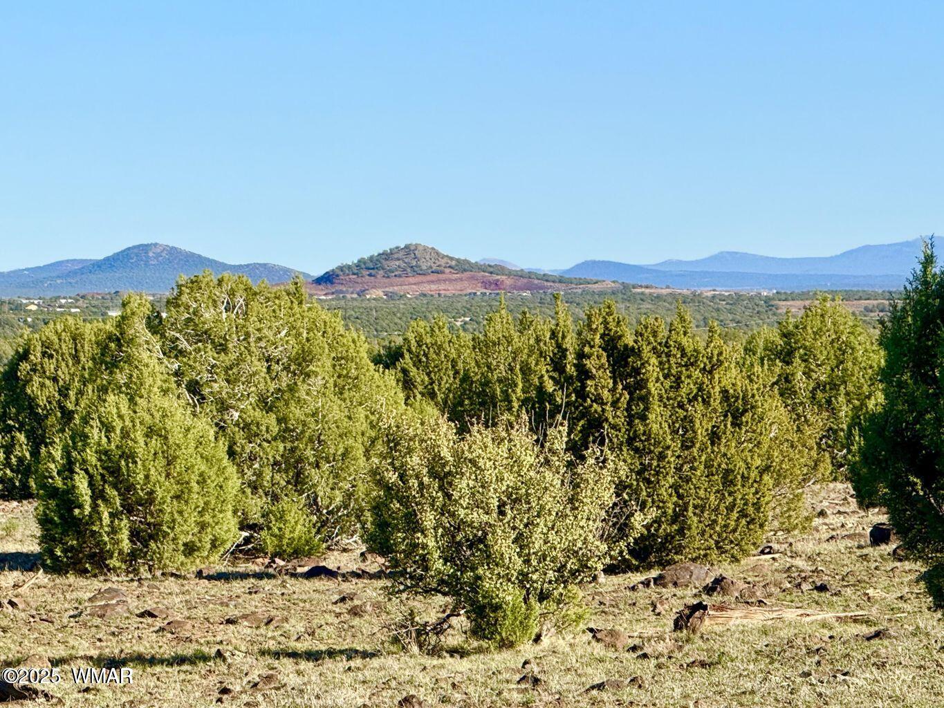 TBD Mustang Ln Lots F & H 5.5 Acre, Show Low, AZ 85901