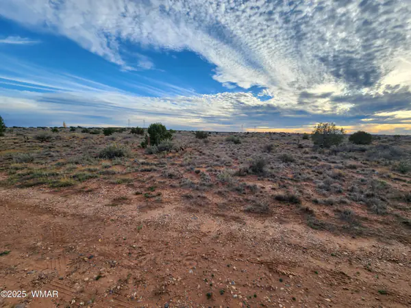 8694 Kasias Trail, Snowflake, AZ 85937