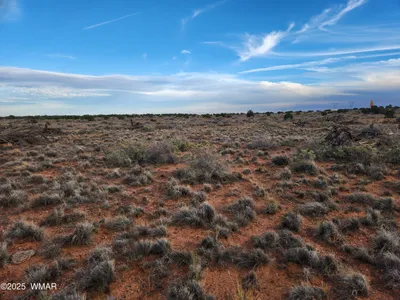 Thumbnail 28