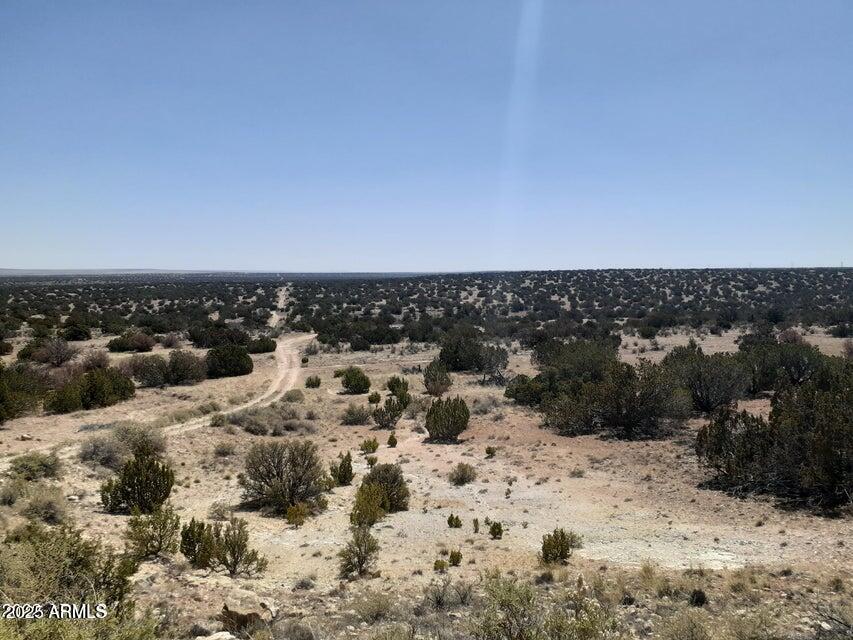 SE 10 Acre 17XX Buffington Hill Road -, Heber, AZ 85928 — Photo 1 of 16