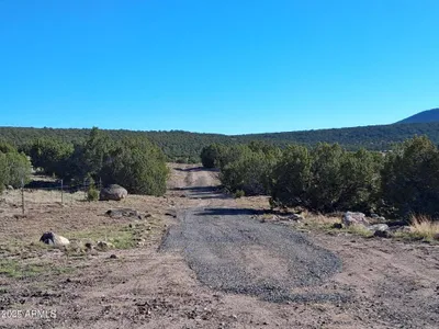Thumbnail 20