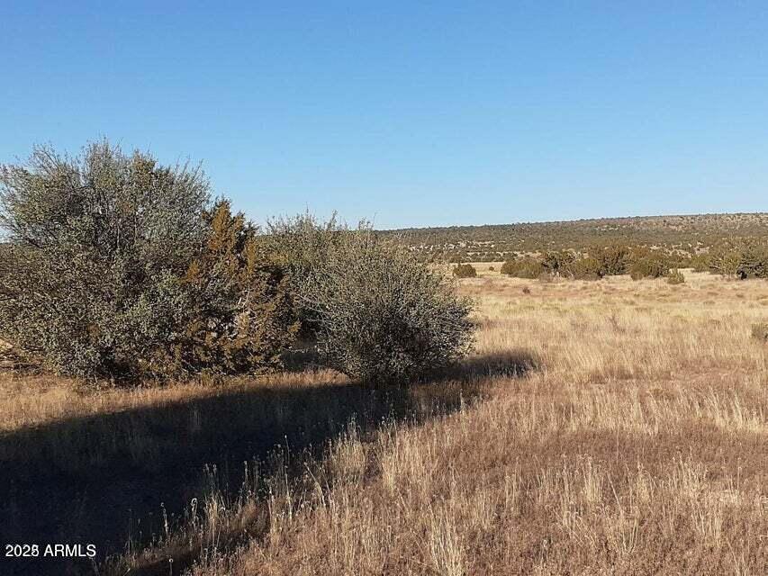 602 DENNY 5 Road -, Seligman, AZ 86337 — Photo 1 of 22