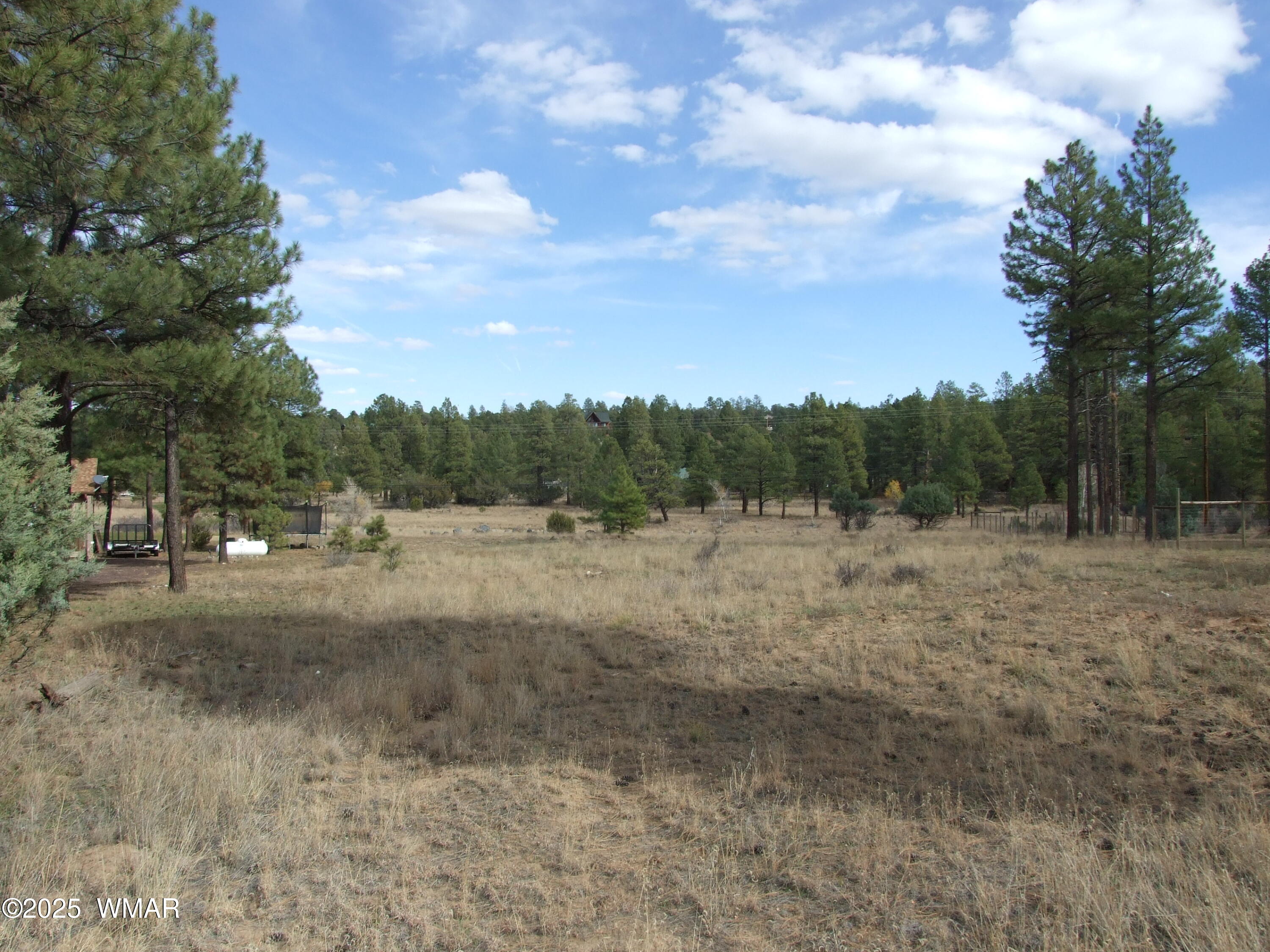 2925 Buckskin Canyon Rd, Heber, AZ 85928