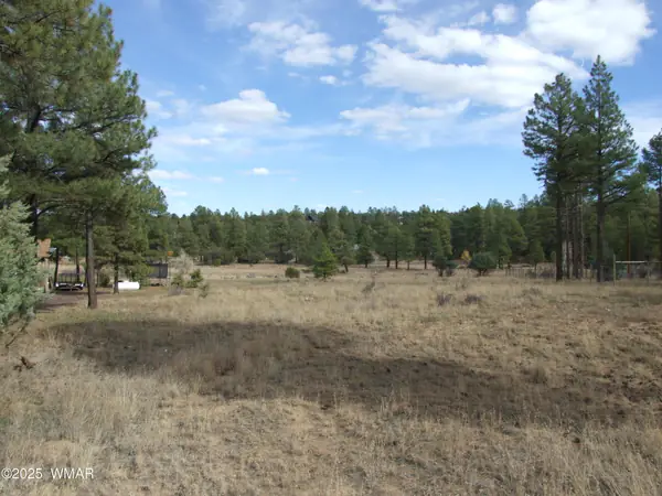 2925 Buckskin Canyon Rd, Heber, AZ 85928
