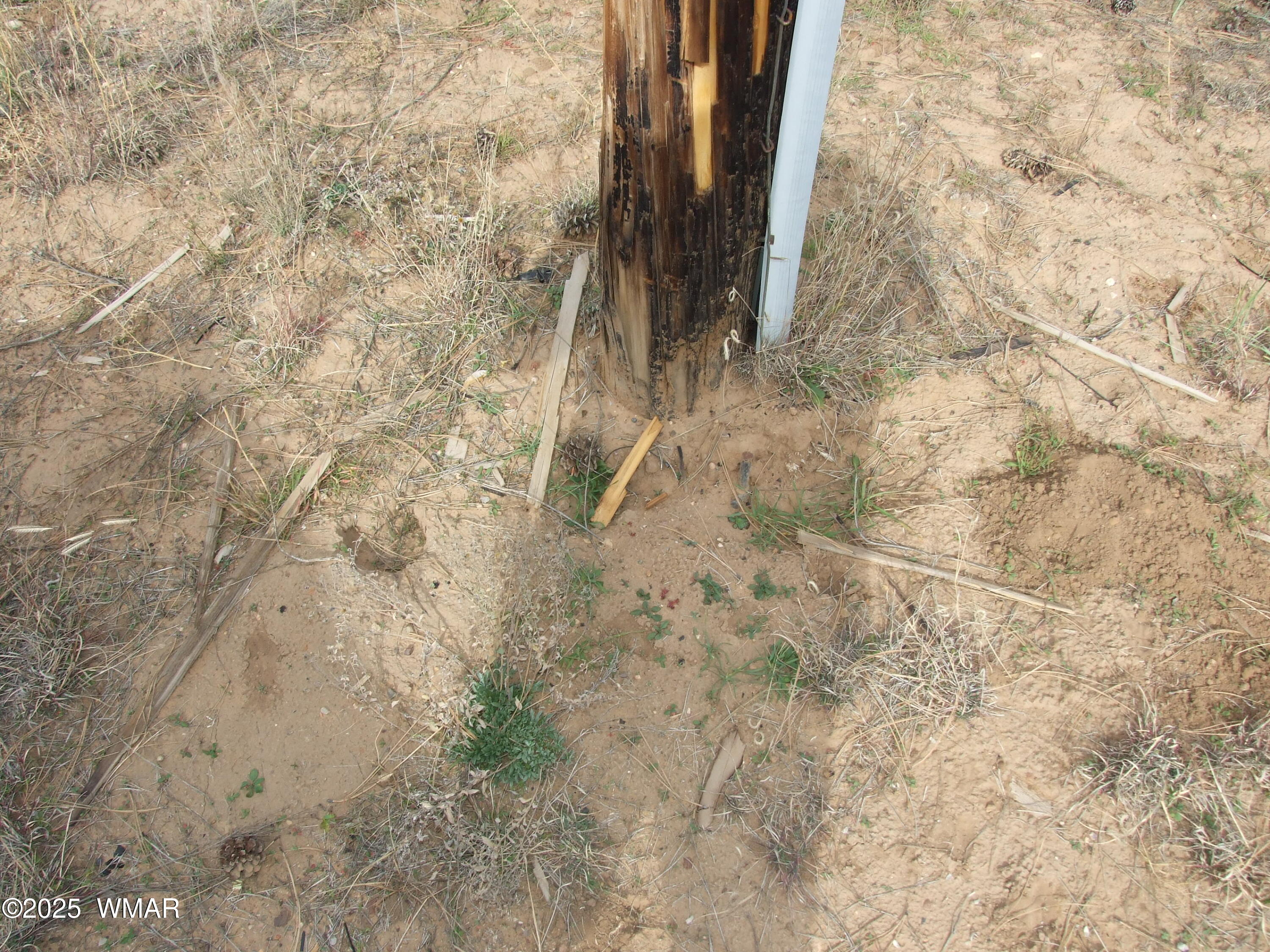 Thumbnail 22