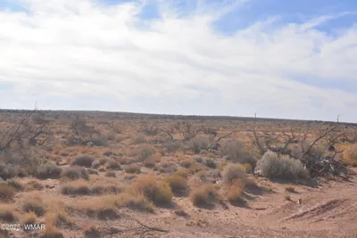 8224 Charolais Trail, Snowflake, AZ 85937