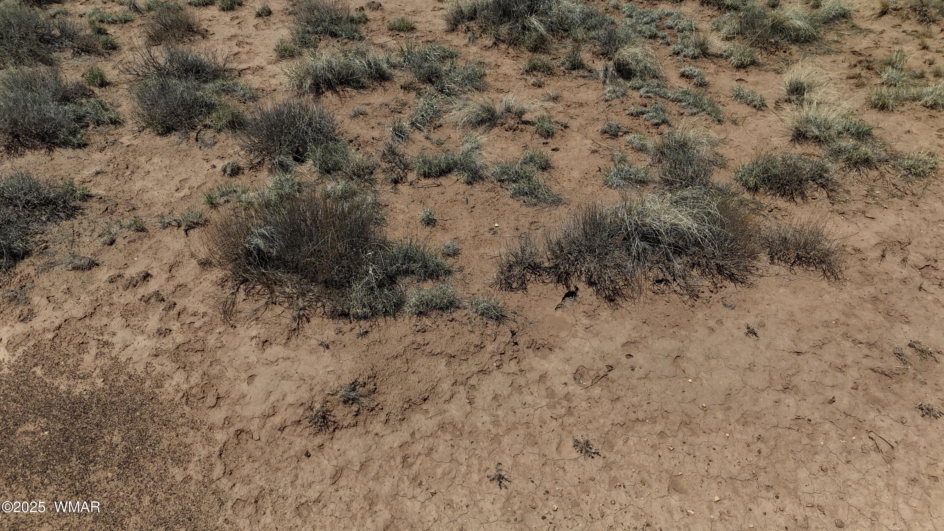 4962 Saddlehorn Road, Snowflake, AZ 85937