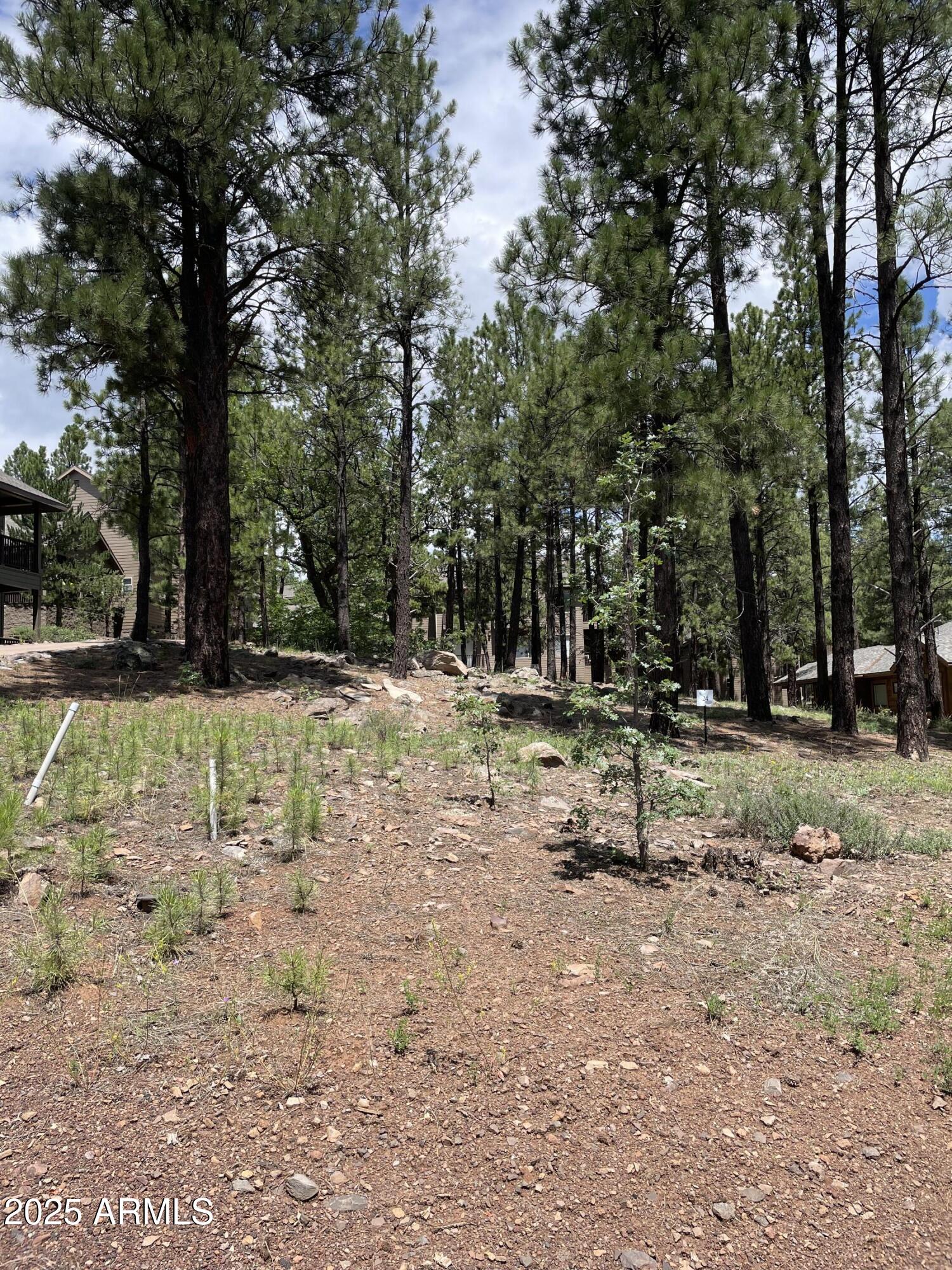 4740 W BRAIDED REIN 24, Flagstaff, AZ 86005 — Photo 1 of 13