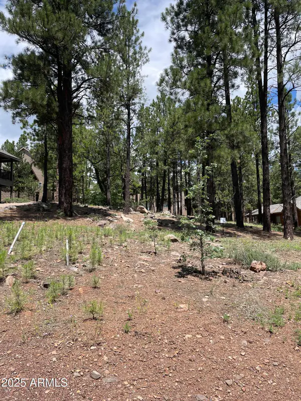 4740 W BRAIDED REIN 24, Flagstaff, AZ 86005