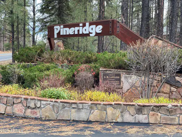 2189 CREEKSIDE Court 19, Pinetop, AZ 85935