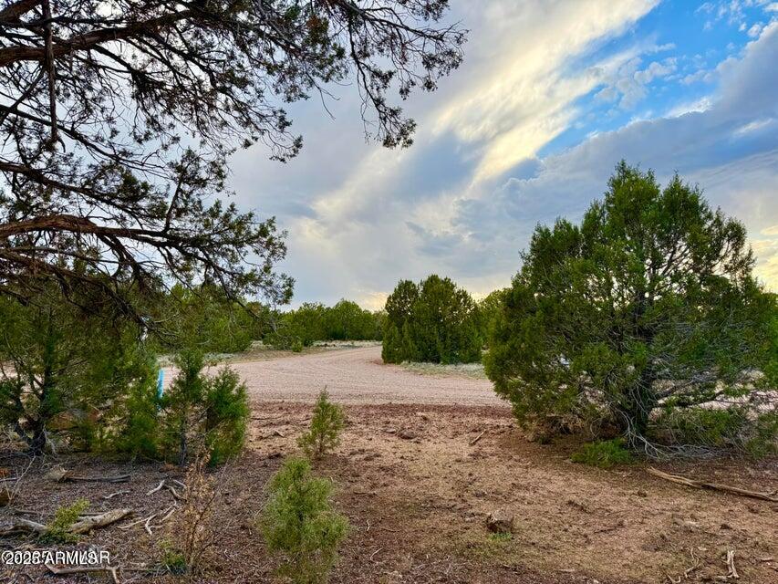 1821 & 1825 Shumway Street -, Show Low, AZ 85901 — Photo 1 of 16