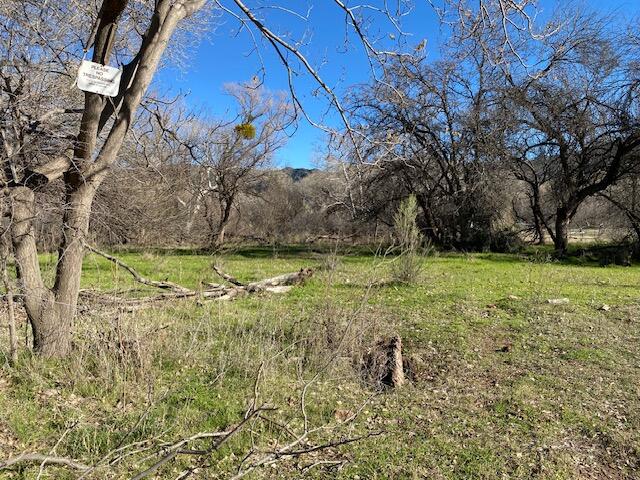 TBD Tonto Creek Drive, Payson, AZ 85541 — Photo 1 of 8
