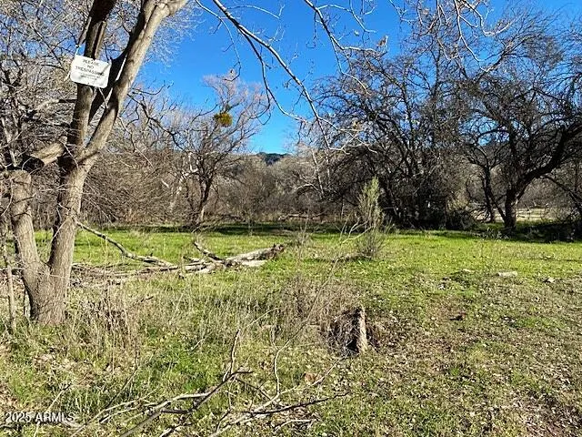 0 S Tonto Creek Drive 391, Payson, AZ 85541 — Photo 1 of 8