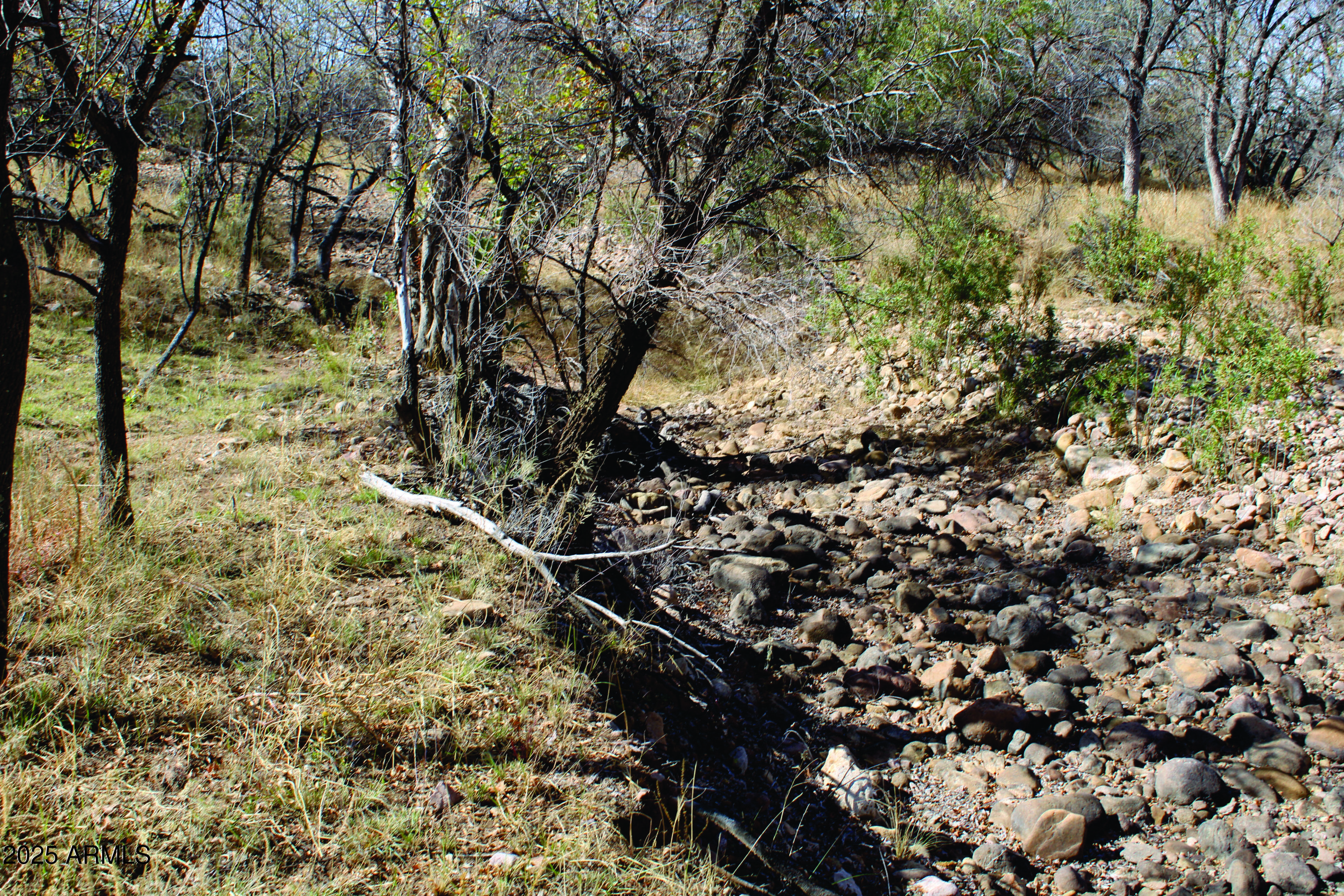 10 Acres E Roadrunner Lot E Lane D, Pearce, AZ 85625 — Photo 1 of 38