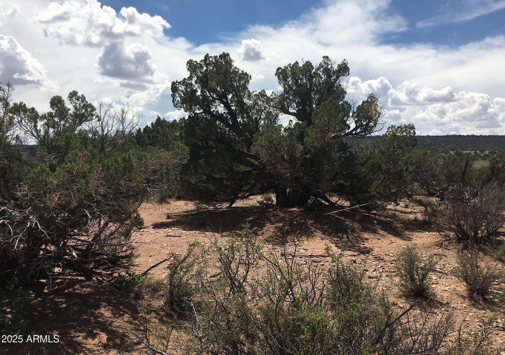4266 BUNKHOUSE Road 6, Snowflake, AZ 85937 — Photo 1 of 9