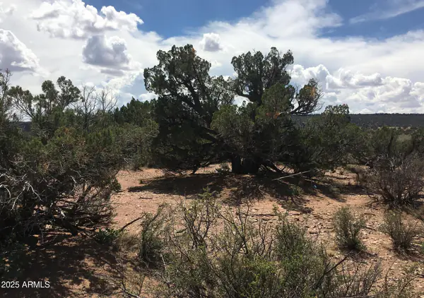 4266 BUNKHOUSE Road 6, Snowflake, AZ 85937