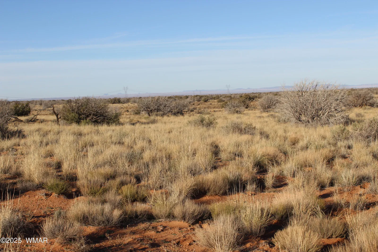 Lot 224 CCR 2, Heber, AZ 85928 — Photo 1 of 4