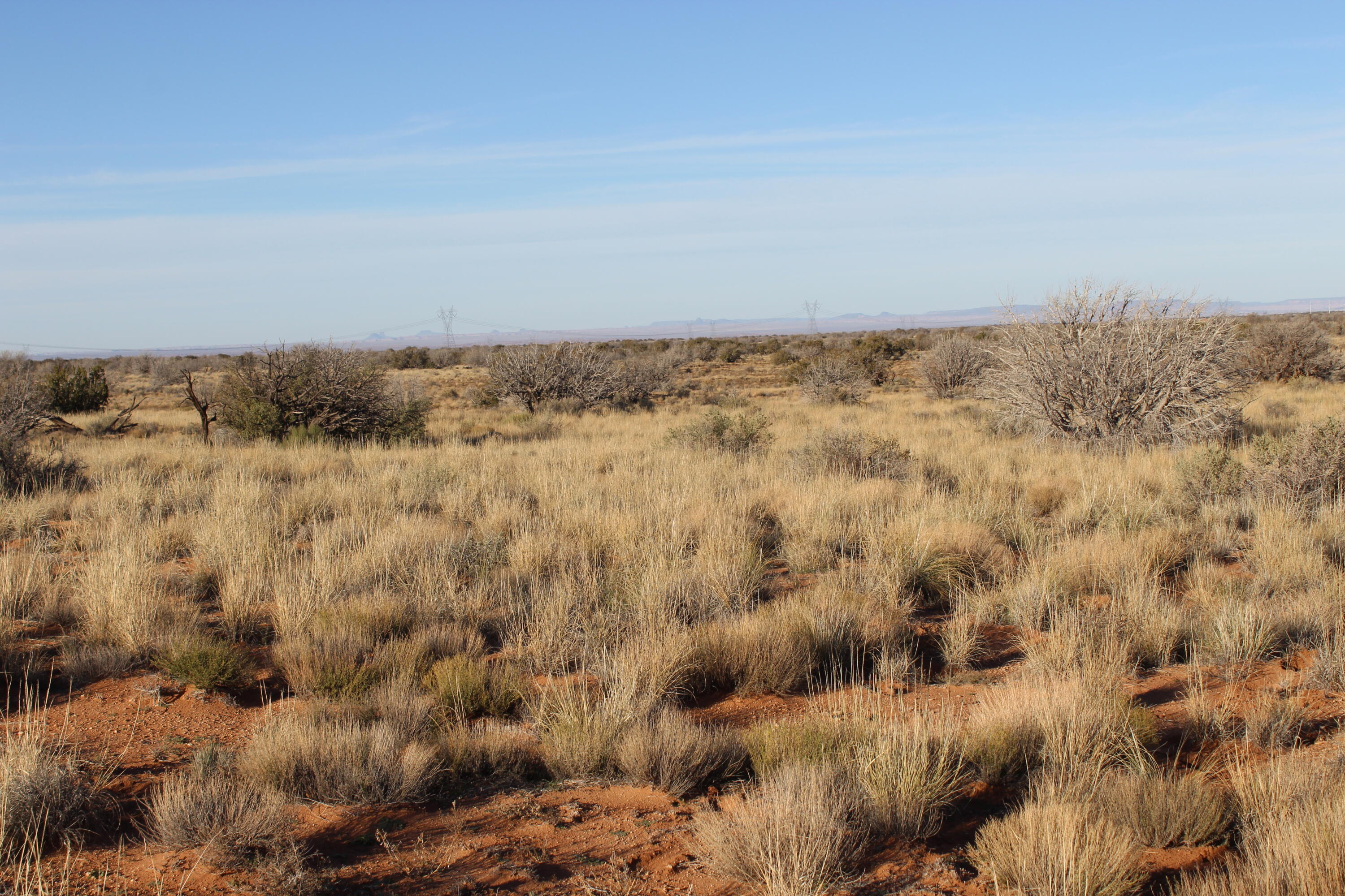 Lot 224 CCR - Unit 224, Heber, AZ 85928
