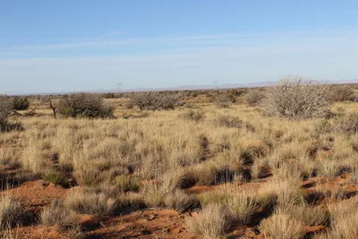 Lot 224 CCR - Unit 224, Heber, AZ 85928