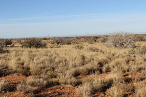 Lot 224 CCR - Unit 224, Heber, AZ 85928