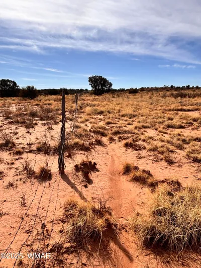8581 Lawson Lane, SE Corner, Snowflake, AZ 85937