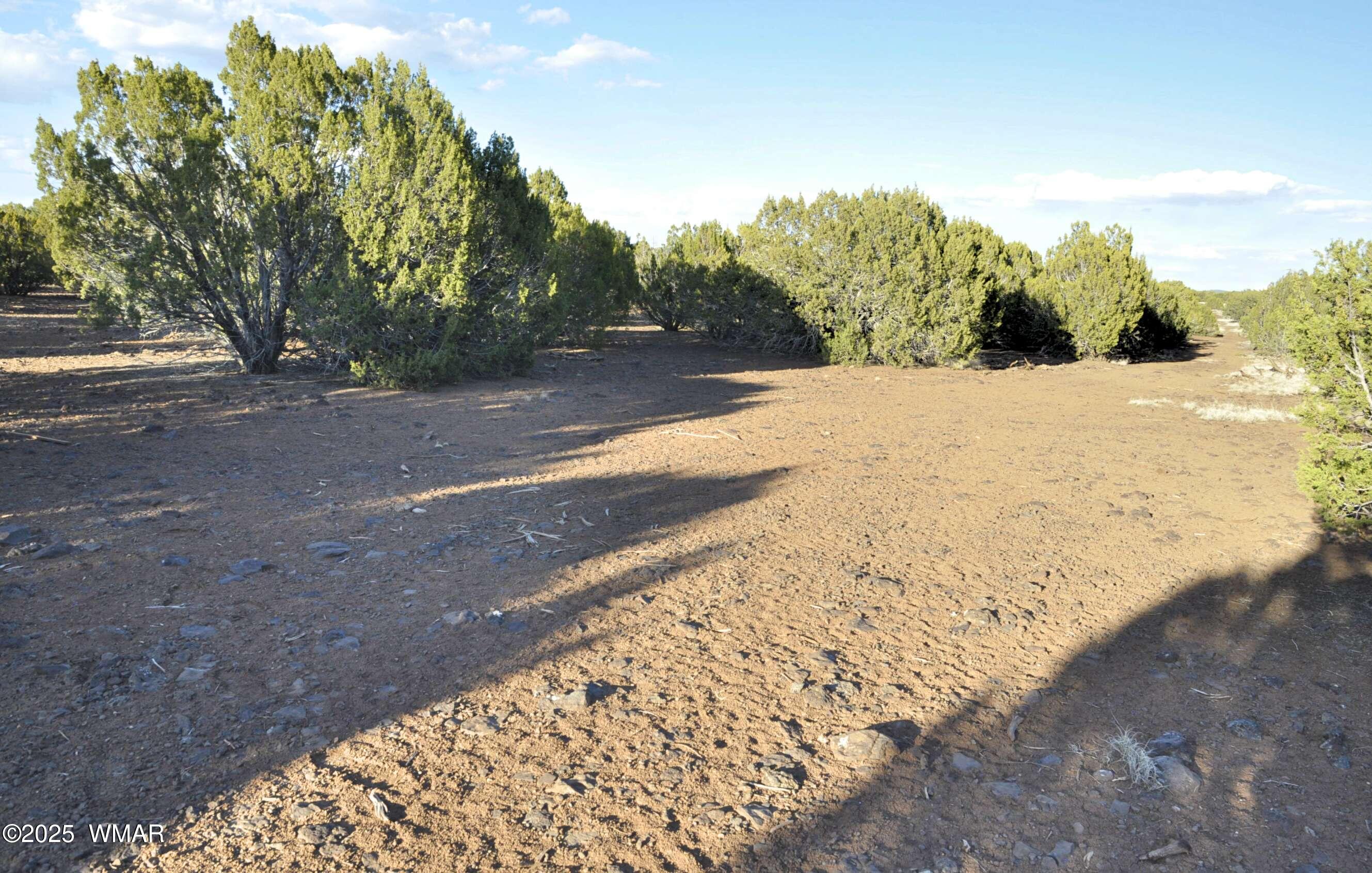 11D Lodge Pole Rd, Show Low, AZ 85901