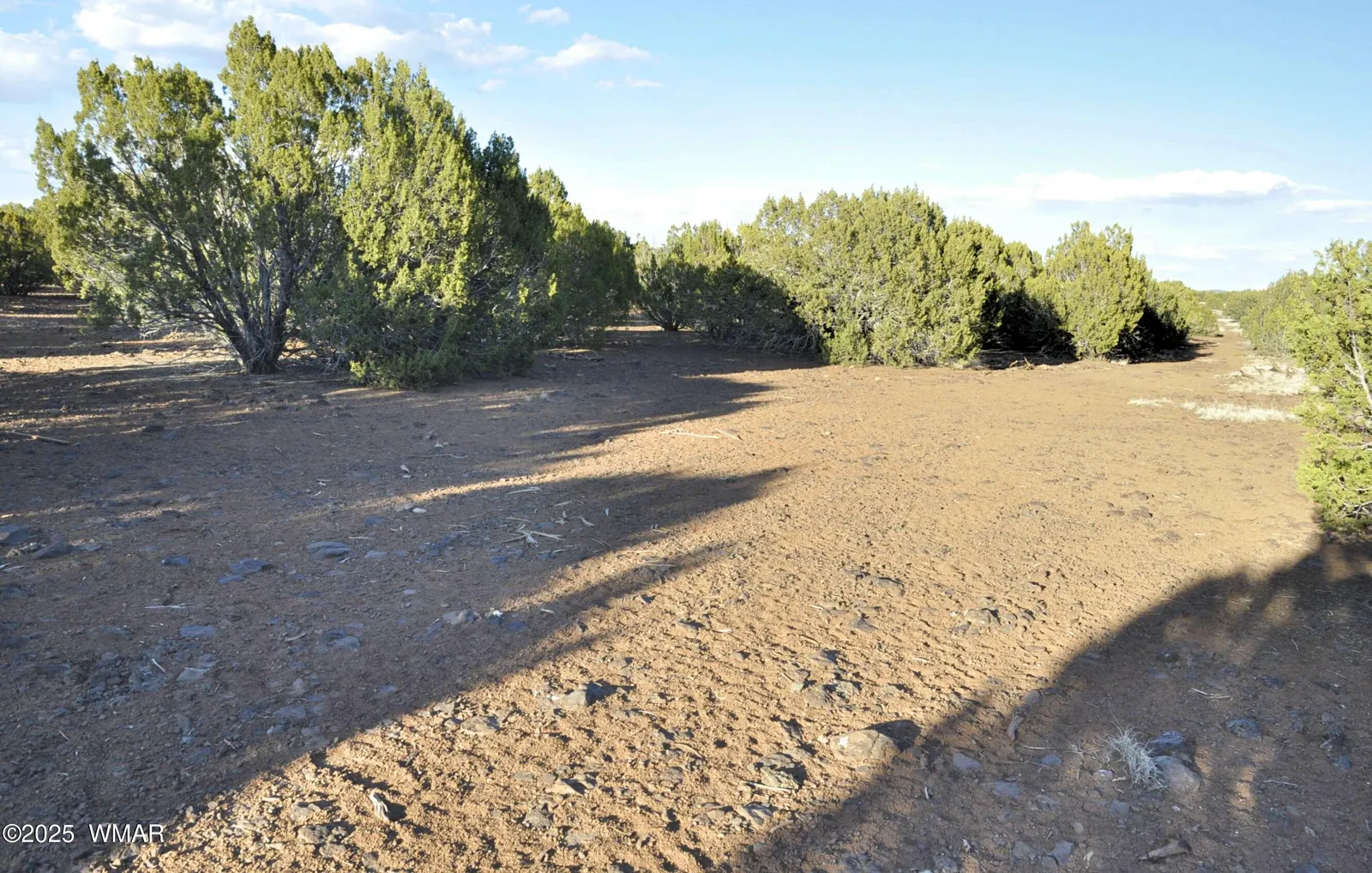 11D Lodge Pole Rd, Show Low, AZ 85901 — Photo 1 of 16