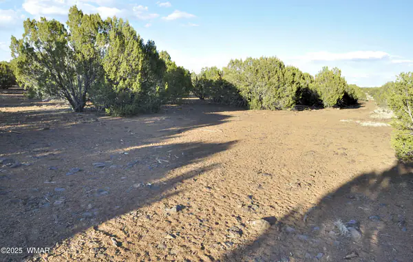 11D Lodge Pole Rd, Show Low, AZ 85901