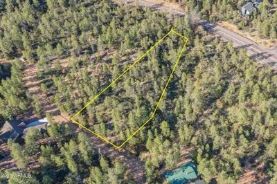 Lot 5 N Pine Hollow Trail 5, Pine, AZ 85544
