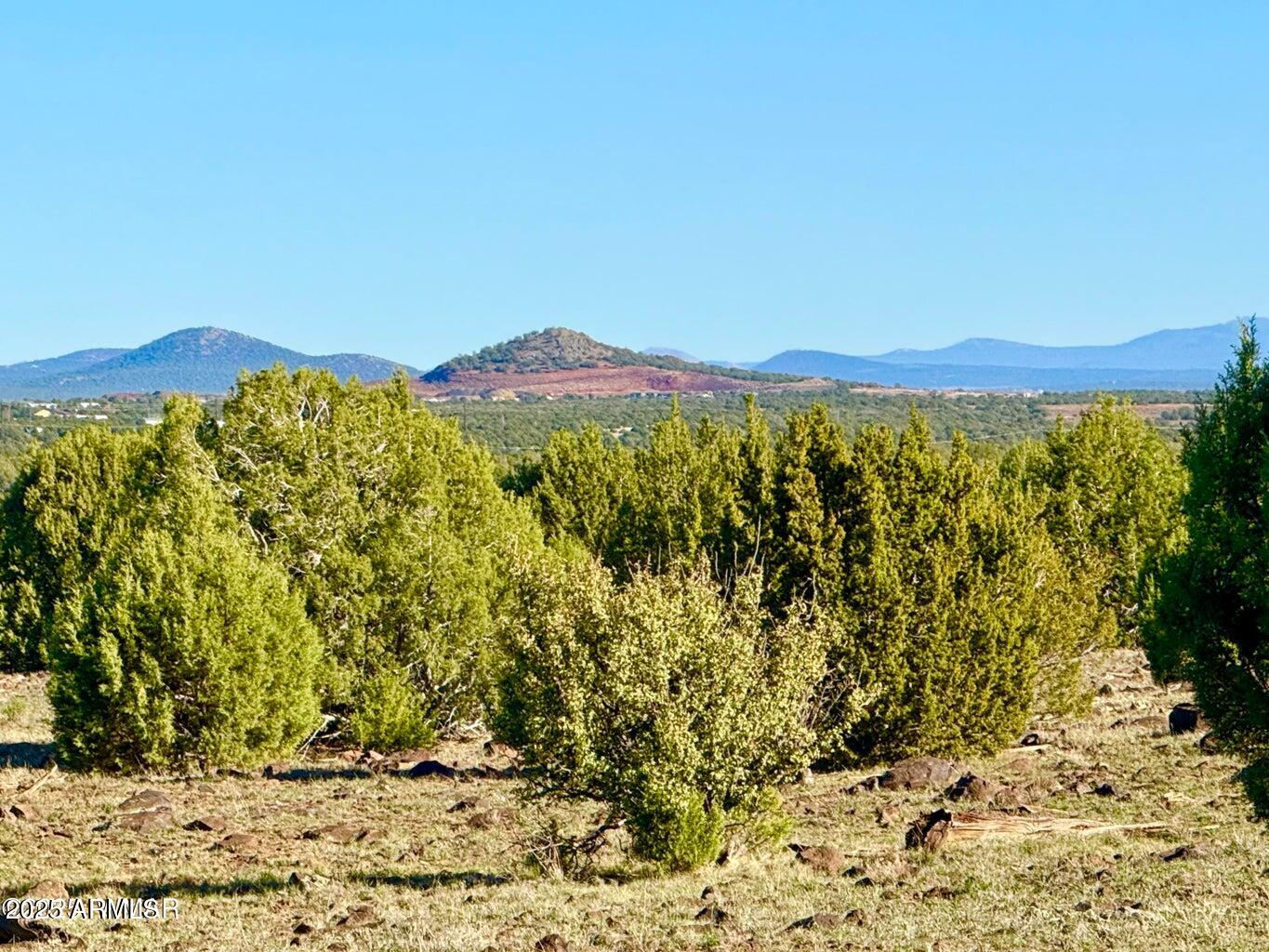 TBD Mustang Ln Lot D & E 4.8 Acres -, Show Low, AZ 85901 — Photo 1 of 23