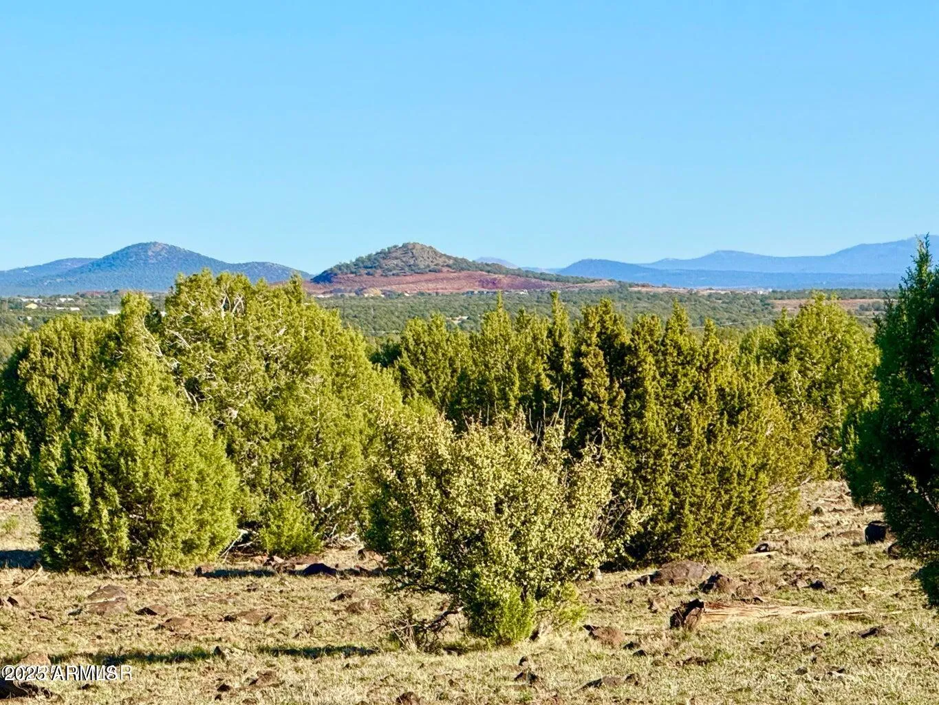 TBD Mustang Ln Lot D & E 4.8 Acres -, Show Low, AZ 85901 — Photo 1 of 22