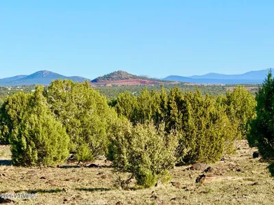 TBD Mustang Ln Lot D & E 4.8 Acres -, Show Low, AZ 85901
