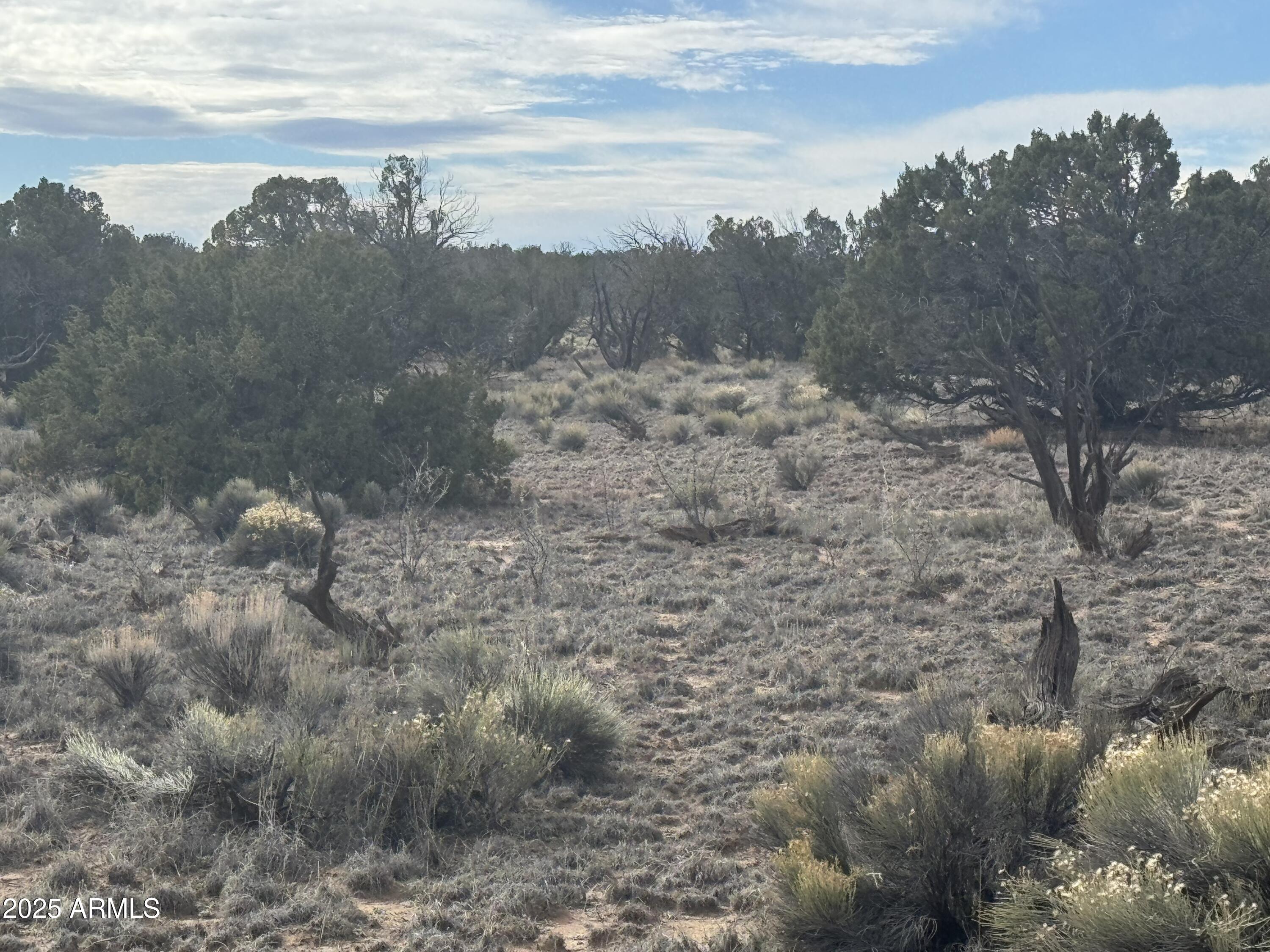Lot 338 Sierra Highlands Ranch 338, St Johns, AZ 85936 — Photo 1 of 11