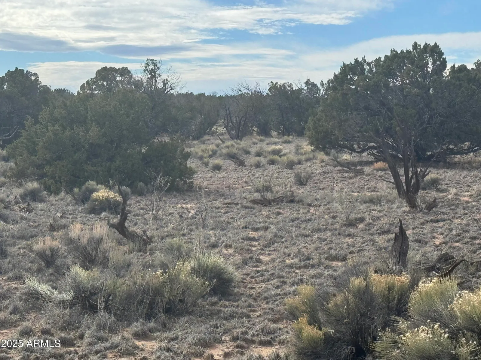 Lot 338 Sierra Highlands Ranch 338, St Johns, AZ 85936 — Photo 1 of 11