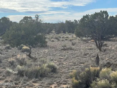 Lot 338 Sierra Highlands Ranch 338, St Johns, AZ 85936