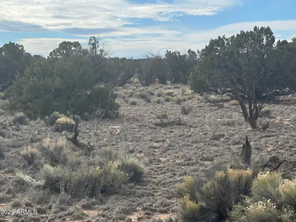 Lot 338 Sierra Highlands Ranch 338, St Johns, AZ 85936